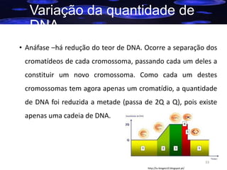 Variação da quantidade de
DNA
• Anáfase –há redução do teor de DNA. Ocorre a separação dos
cromatídeos de cada cromossoma, passando cada um deles a

constituir um novo cromossoma. Como cada um destes
cromossomas tem agora apenas um cromatídio, a quantidade
de DNA foi reduzida a metade (passa de 2Q a Q), pois existe

apenas uma cadeia de DNA.

33
http://lu-biogeo10.blogspot.pt/

 