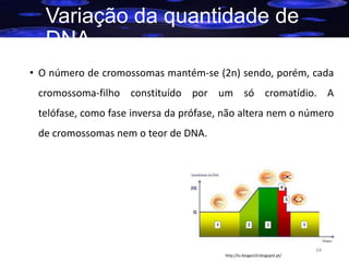 Variação da quantidade de
DNA
• O número de cromossomas mantém-se (2n) sendo, porém, cada
cromossoma-filho constituído por um só cromatídio. A

telófase, como fase inversa da prófase, não altera nem o número
de cromossomas nem o teor de DNA.

34
http://lu-biogeo10.blogspot.pt/

 