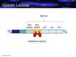 Operão Lactose

http://www.cientic.com

36

 