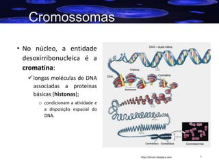 Cromossomas
• No núcleo, a entidade
desoxirribonucleica é a
cromatina:
 longas moléculas de DNA
associadas a proteínas
básicas (histonas);
o condicionam a atividade e
a disposição espacial do
DNA.

http://forum.netxplica.com

4

 