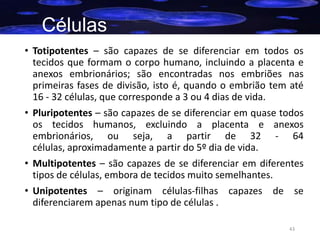Células
• Totipotentes – são capazes de se diferenciar em todos os
tecidos que formam o corpo humano, incluindo a placenta e
anexos embrionários; são encontradas nos embriões nas
primeiras fases de divisão, isto é, quando o embrião tem até
16 - 32 células, que corresponde a 3 ou 4 dias de vida.
• Pluripotentes – são capazes de se diferenciar em quase todos
os tecidos humanos, excluindo a placenta e anexos
embrionários, ou seja, a partir de 32 - 64
células, aproximadamente a partir do 5º dia de vida.
• Multipotentes – são capazes de se diferenciar em diferentes
tipos de células, embora de tecidos muito semelhantes.
• Unipotentes – originam células-filhas capazes de se
diferenciarem apenas num tipo de células .
43

 
