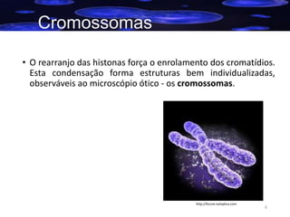 Cromossomas
• O rearranjo das histonas força o enrolamento dos cromatídios.
Esta condensação forma estruturas bem individualizadas,
observáveis ao microscópio ótico - os cromossomas.

http://forum.netxplica.com

6

 