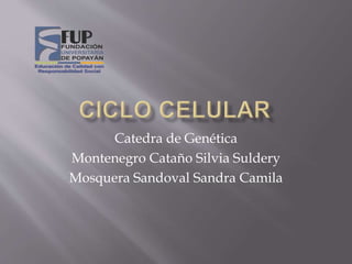 Catedra de Genética
Montenegro Cataño Silvia Suldery
Mosquera Sandoval Sandra Camila
 