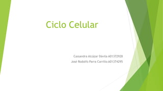 Ciclo Celular 
Cassandra Alcázar Dávila A01372928 
José Rodolfo Parra Carrillo A01374295 
 