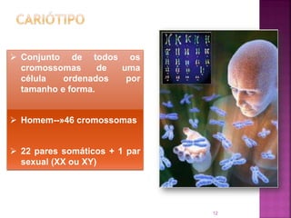 12
 Conjunto de todos os
cromossomas de uma
célula ordenados por
tamanho e forma.
 Homem--»46 cromossomas
 22 pares somáticos + 1 par
sexual (XX ou XY)
 
