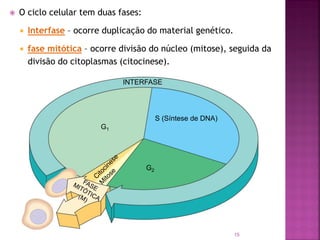 INTERFASE
G1
S (Síntese de DNA)
G2
 O ciclo celular tem duas fases:
 Interfase – ocorre duplicação do material genético.
 fase mitótica – ocorre divisão do núcleo (mitose), seguida da
divisão do citoplasmas (citocinese).
15
 