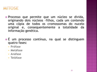  Processo que permite que um núcleo se divida,
originando dois núcleos –filhos, cada um contendo
uma cópia de todos os cromossomas do nucelo
original e, consequentemente a totalidade da
informação genética.
 É um processo contínuo, na qual se distinguem
quatro fases:
 Prófase
 Metáfase
 Anáfase
 Telófase
20
 