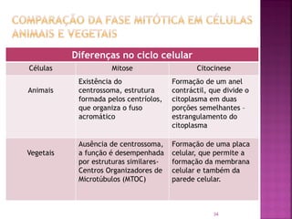 34
Diferenças no ciclo celular
Células Mitose Citocinese
Animais
Existência do
centrossoma, estrutura
formada pelos centríolos,
que organiza o fuso
acromático
Formação de um anel
contráctil, que divide o
citoplasma em duas
porções semelhantes –
estrangulamento do
citoplasma
Vegetais
Ausência de centrossoma,
a função é desempenhada
por estruturas similares-
Centros Organizadores de
Microtúbulos (MTOC)
Formação de uma placa
celular, que permite a
formação da membrana
celular e também da
parede celular.
 