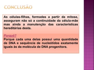 As células-filhas, formadas a partir da mitose,
asseguram não só a continuidade da célula-mãe
mas ainda a manutenção das características
hereditárias desta.
Porquê?
Porque cada uma delas possui uma quantidade
de DNA e sequência de nucleótidos exatamente
iguais às da molécula de DNA progenitora.
 
