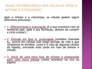 Após a mitose e a citocinese, as células podem seguir
diferentes processos:
 1. Diferenciação e maturação (é o que acontece com as
hemácias que, após a sua formação, deixam de cumprir
o ciclo celular) ;
 2. Entrada em fase G1 prolongada (também chamada
G0, ocorre em células com longo período de vida e que
raramente se dividem, como é o caso de algumas células
do fígado), entrando mais tarde em fase de síntese e
mitose;
 3. Início de uma nova fase de síntese e preparação
para uma nova mitose (como acontece no ovo ou
zigoto)
 