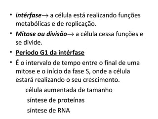• intérfase→ a célula está realizando funções
metabólicas e de replicação.
• Mitose ou divisão→ a célula cessa funções e
se divide.
• Período G1 da intérfase
• É o intervalo de tempo entre o final de uma
mitose e o início da fase S, onde a célula
estará realizando o seu crescimento.
célula aumentada de tamanho
síntese de proteínas
síntese de RNA
 