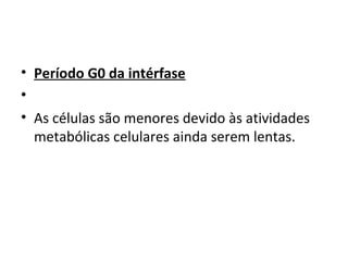 • Período G0 da intérfase
•
• As células são menores devido às atividades
metabólicas celulares ainda serem lentas.
 