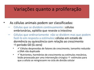 Variações quanto a proliferação
• As células animais podem ser classificadas:
– Células que se dividem continuamente : células
embrionárias, epitélio que reveste o intestino
– Células que ordinariamente não se dividem mas que podem
fazê-lo em resposta a estímulos: células em estado de
dormência ou quiescência com relação ao crescimento
período G0 (G-zero)
•  Células desprovidas de fatores de crescimento, tamanho reduzido
e DNA não duplicado
•  Nutrientes, hormônios de crescimento ou estímulos mecânico,
lesão provocada por uma intervenção cirúrgica  estímulos para
que a célula se reingressem no ciclo de divisão celular
 