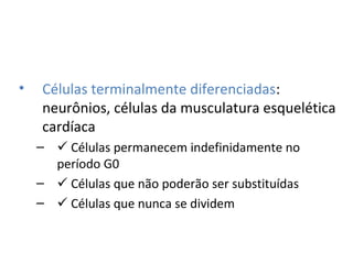 • Células terminalmente diferenciadas:
neurônios, células da musculatura esquelética
cardíaca
–  Células permanecem indefinidamente no
período G0
–  Células que não poderão ser substituídas
–  Células que nunca se dividem
 