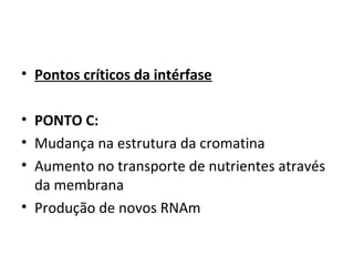 • Pontos críticos da intérfase
 
• PONTO C:
• Mudança na estrutura da cromatina
• Aumento no transporte de nutrientes através 
da membrana
• Produção de novos RNAm
 