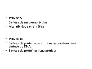 • PONTO V:
• Síntese de macromoléculas
• Alta atividade enzimática 
 
• PONTO R:
• Síntese de proteínas e enzimas necessárias para 
síntese do DNA;
• Síntese de proteínas regulatórias;
 