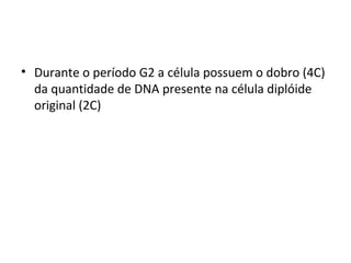 • Durante o período G2 a célula possuem o dobro (4C) 
da quantidade de DNA presente na célula diplóide 
original (2C) 
 