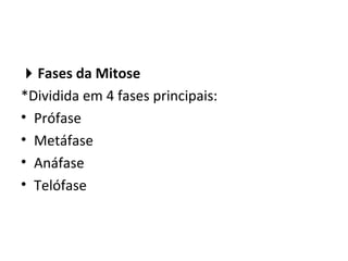 Fases da Mitose
*Dividida em 4 fases principais:
• Prófase
• Metáfase
• Anáfase
• Telófase
 