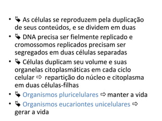 •  As células se reproduzem pela duplicação
de seus conteúdos, e se dividem em duas
•  DNA precisa ser fielmente replicado e
cromossomos replicados precisam ser
segregados em duas células separadas
•  Células duplicam seu volume e suas
organelas citoplasmáticas em cada ciclo
celular  repartição do núcleo e citoplasma
em duas células-filhas
•  Organismos pluricelulares manter a vida
•  Organismos eucariontes unicelulares 
gerar a vida
 