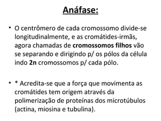 Anáfase:
• O centrômero de cada cromossomo divide-se 
longitudinalmente, e as cromátides-irmãs, 
agora chamadas de cromossomos filhos vão 
se separando e dirigindo p/ os pólos da célula 
indo 2n cromossomos p/ cada pólo.
• * Acredita-se que a força que movimenta as 
cromátides tem origem através da 
polimerização de proteínas dos microtúbulos 
(actina, miosina e tubulina). 
 