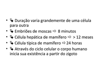 •  Duração varia grandemente de uma célula
para outra
•  Embriões de moscas  8 minutos
•  Célula hepática de mamífero  > 12 meses
•  Célula típica de mamífero 24 horas
•  Através do ciclo celular o corpo humano
inicia sua existência a partir do zigoto
 