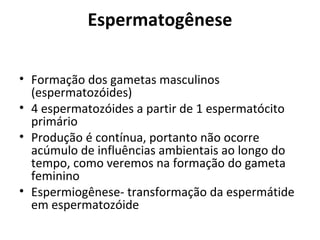 Espermatogênese
• Formação dos gametas masculinos
(espermatozóides)
• 4 espermatozóides a partir de 1 espermatócito
primário
• Produção é contínua, portanto não ocorre
acúmulo de influências ambientais ao longo do
tempo, como veremos na formação do gameta
feminino
• Espermiogênese- transformação da espermátide
em espermatozóide
 