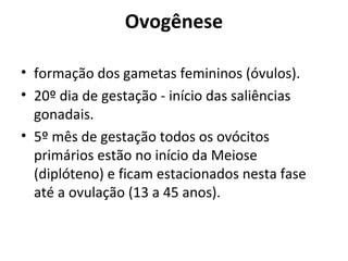 Ovogênese
• formação dos gametas femininos (óvulos).
• 20º dia de gestação - início das saliências
gonadais.
• 5º mês de gestação todos os ovócitos
primários estão no início da Meiose
(diplóteno) e ficam estacionados nesta fase
até a ovulação (13 a 45 anos).
 