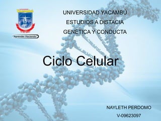 Ciclo Celular
UNIVERSIDAD YACAMBÚ
ESTUDIOS A DISTACIA
GENÉTICA Y CONDUCTA
NAYLETH PERDOMO
V-09623097
 