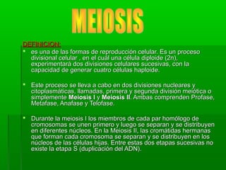 DEFINICION:DEFINICION:
 es una de las formas de reproducción celular. Es un procesoes una de las formas de reproducción celular. Es un proceso
divisional celular , en el cuál una célula diploide (2n),divisional celular , en el cuál una célula diploide (2n),
experimentará dos divisiones celulares sucesivas, con laexperimentará dos divisiones celulares sucesivas, con la
capacidad de generar cuatro células haploide.capacidad de generar cuatro células haploide.
 Este proceso se lleva a cabo en dos divisiones nucleares yEste proceso se lleva a cabo en dos divisiones nucleares y
citoplasmáticas, llamadas, primera y segunda división meiótica ocitoplasmáticas, llamadas, primera y segunda división meiótica o
simplementesimplemente Meiosis IMeiosis I yy Meiosis IIMeiosis II. Ambas comprenden Profase,. Ambas comprenden Profase,
Metafase, Anafase y Telofase.Metafase, Anafase y Telofase.
 Durante la meiosis I los miembros de cada par homólogo deDurante la meiosis I los miembros de cada par homólogo de
cromosomas se unen primero y luego se separan y se distribuyencromosomas se unen primero y luego se separan y se distribuyen
en diferentes núcleos. En la Meiosis II, las cromátidas hermanasen diferentes núcleos. En la Meiosis II, las cromátidas hermanas
que forman cada cromosoma se separan y se distribuyen en losque forman cada cromosoma se separan y se distribuyen en los
núcleos de las células hijas. Entre estas dos etapas sucesivas nonúcleos de las células hijas. Entre estas dos etapas sucesivas no
existe la etapa S (duplicación del ADN).existe la etapa S (duplicación del ADN).
 