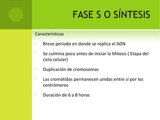FASE S O SÍNTESIS
Características
 Breve período en donde se replica el ADN
 Se culmina poco antes de iniciar la Mitosis ( Etapa del 
ciclo celular)
 Duplicación de cromosomas
 Las cromátidas permanecen unidas entre sí por los 
centrómeros 
 Duración de 6 a 8 horas
 
