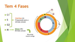 Tem 4 Fases
 G1
 S
 G2
 M
Interfase (I):
Preparação para a
divisão celular
Mitose (M):
Divisão celular
Discutida
noutro artigo
 