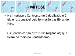 MITOSE
• Na interfase o Centrossomo é duplicado e é
ele o responsável pela formação das fibras do
fuso.
• Os Centríolos são estruturas (organelas) que
ficam no meio do Centrossomo.
Ciclo Celular 13
 