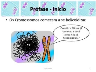 Prófase - Início
• Os Cromossomos começam a se helicoidizar.
Ciclo Celular 17
Querido a Mitose já
começou e você
ainda não se
helicoidizou???
 