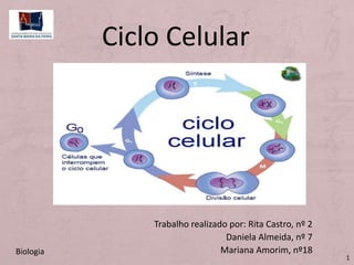 Trabalho realizado por: Rita Castro, nº 2
Daniela Almeida, nº 7
Mariana Amorim, nº18
Ciclo Celular
Biologia
1
 