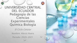 UNIVERSIDAD CENTRAL
DEL ECUADOR
Pedagogía de las
Ciencias
Experimentales
Química Biología
El Ciclo Celular
Nombre: Alexis Huera
Periodo: 2020-2021
 