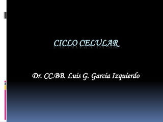 CICLO CELULAR
Dr. CC.BB. Luis G. García Izquierdo
 