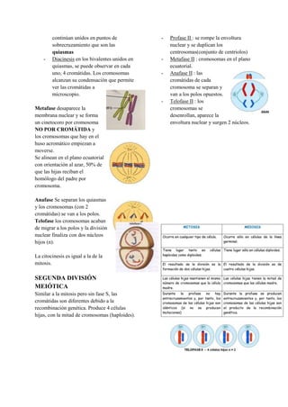 continúan unidos en puntos de
sobrecruzamiento que son las
quiasmas
- Diacinesis en los bivalentes unidos en
quiasmas, se puede observar en cada
uno, 4 cromátidas. Los cromosomas
alcanzan su condensación que permite
ver las cromátidas a
microscopio.
Metafase desaparece la
membrana nuclear y se forma
un cinetocoro por cromosoma
NO POR CROMÁTIDA y
los cromosomas que hay en el
huso acromático empiezan a
moverse.
Se alinean en el plano ecuatorial
con orientación al azar, 50% de
que las hijas reciban el
homólogo del padre por
cromosoma.
Anafase Se separan los quiasmas
y los cromosomas (con 2
cromátidas) se van a los polos.
Telofase los cromosomas acaban
de migrar a los polos y la división
nuclear finaliza con dos núcleos
hijos (n).
La citocinesis es igual a la de la
mitosis.
SEGUNDA DIVISIÓN
MEIÓTICA
Similar a la mitosis pero sin fase S, las
cromátidas son diferentes debido a la
recombinación genética. Produce 4 células
hijas, con la mitad de cromosomas (haploides).
- Profase II : se rompe la envoltura
nuclear y se duplican los
centrosomas(conjunto de centriolos)
- Metafase II : cromosomas en el plano
ecuatorial.
- Anafase II : las
cromátidas de cada
cromosoma se separan y
van a los polos opuestos.
- Telofase II : los
cromosomas se
desenrollan, aparece la
envoltura nuclear y surgen 2 núcleos.
 