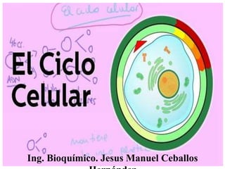 Ing. Bioquímico. Jesus Manuel Ceballos
 