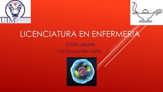 LICENCIATURA EN ENFERMERÍA
Ciclo celular
M.E. Shugeyl Félix Carrillo.
 