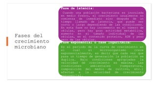 Fases del
crecimiento
microbiano
Fase de latencia:
Cuando una población bacteriana es inoculada
en medio fresco, el crecimiento usualmente no
comienza de inmediato sino después de un
tiempo llamado de latencia, que puede ser
corto o largo dependiendo de las condiciones.
En esta fase no hay incremento en el número de
células, pero hay gran actividad metabólica,
aumento en el tamaño individual de las
células, en el contenido proteico, ADN y peso
seco de las células.
Fase exponencial o fase logarítmica:
Es el período de la curva de crecimiento en
el cual el microorganismo crece
exponencialmente, es decir que cada vez que
pasa un tiempo de generación la población se
duplica. Bajo condiciones apropiadas la
velocidad de crecimiento es máxima. Las
condiciones ambientales (temperatura,
composición del medio de cultivo, etc.)
afectan a la velocidad de crecimiento
exponencial.
 