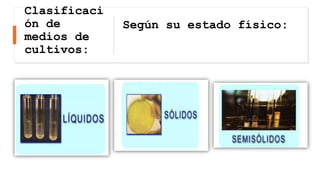 Clasificaci
ón de
medios de
cultivos:
Según su estado físico:
 