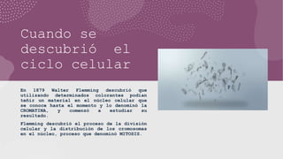 Cuando se
descubrió el
ciclo celular
En 1879 Walter Flemming descubrió que
utilizando determinados colorantes podían
teñir un material en el núcleo celular que
se conoce hasta el momento y lo denominó la
CROMATINA, y comenzó a estudiar su
resultado.
Flemming descubrió el proceso de la división
celular y la distribución de los cromosomas
en el núcleo, proceso que denominó MITOSIS.
 