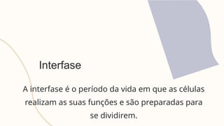 Interfase
A interfase é o período da vida em que as células
realizam as suas funções e são preparadas para
se dividirem.
 