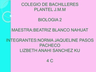 COLEGIO DE BACHILLERES
PLANTEL J.M.M
BIOLOGIA 2
MAESTRA:BEATRIZ BLANCO NAHUAT
INTEGRANTES:NORMA JAQUELINE PASOS
PACHECO
LIZBETH ANAHI SANCHEZ KU
4 C
 