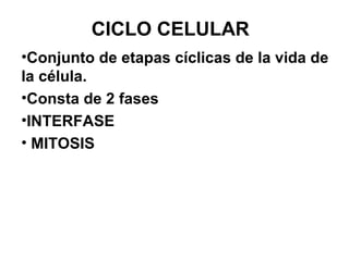 CICLO CELULAR
•Conjunto de etapas cíclicas de la vida de
la célula.
•Consta de 2 fases
•INTERFASE
• MITOSIS
 