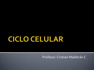 Profesor: Cristian Malebrán C.
 