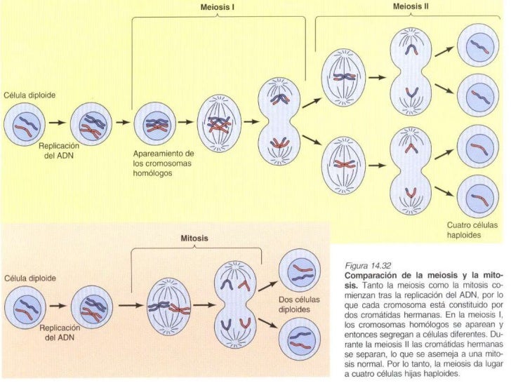 Related image