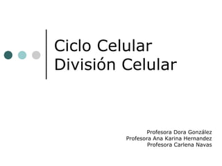 Ciclo Celular
División Celular
Profesora Dora González
Profesora Ana Karina Hernandez
Profesora Carlena Navas
 