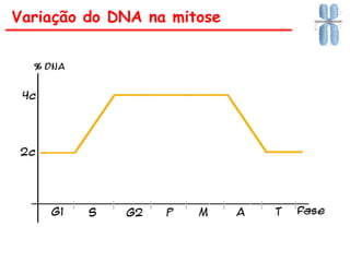 Variação do DNA na mitose
 