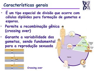 Características gerais
• É um tipo especial de divisão que ocorre com
células diplóides para formação de gametas e
esporos.
• Permite a recombinação gênica
(crossing over)
• Garante a variabilidade dos
gametas, sendo fundamental
para a reprodução sexuada
Crossing over
 